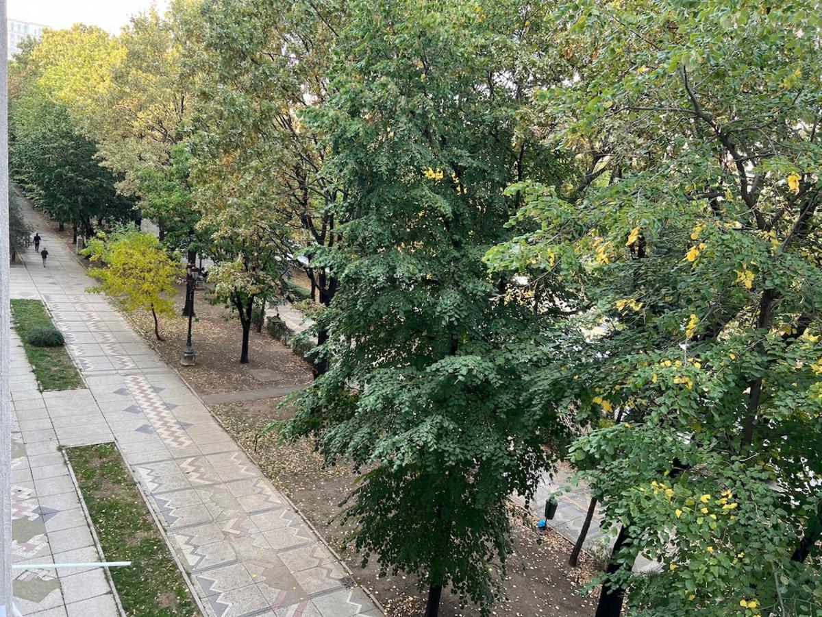布加勒斯特Unirii Central Fountains View公寓 外观 照片